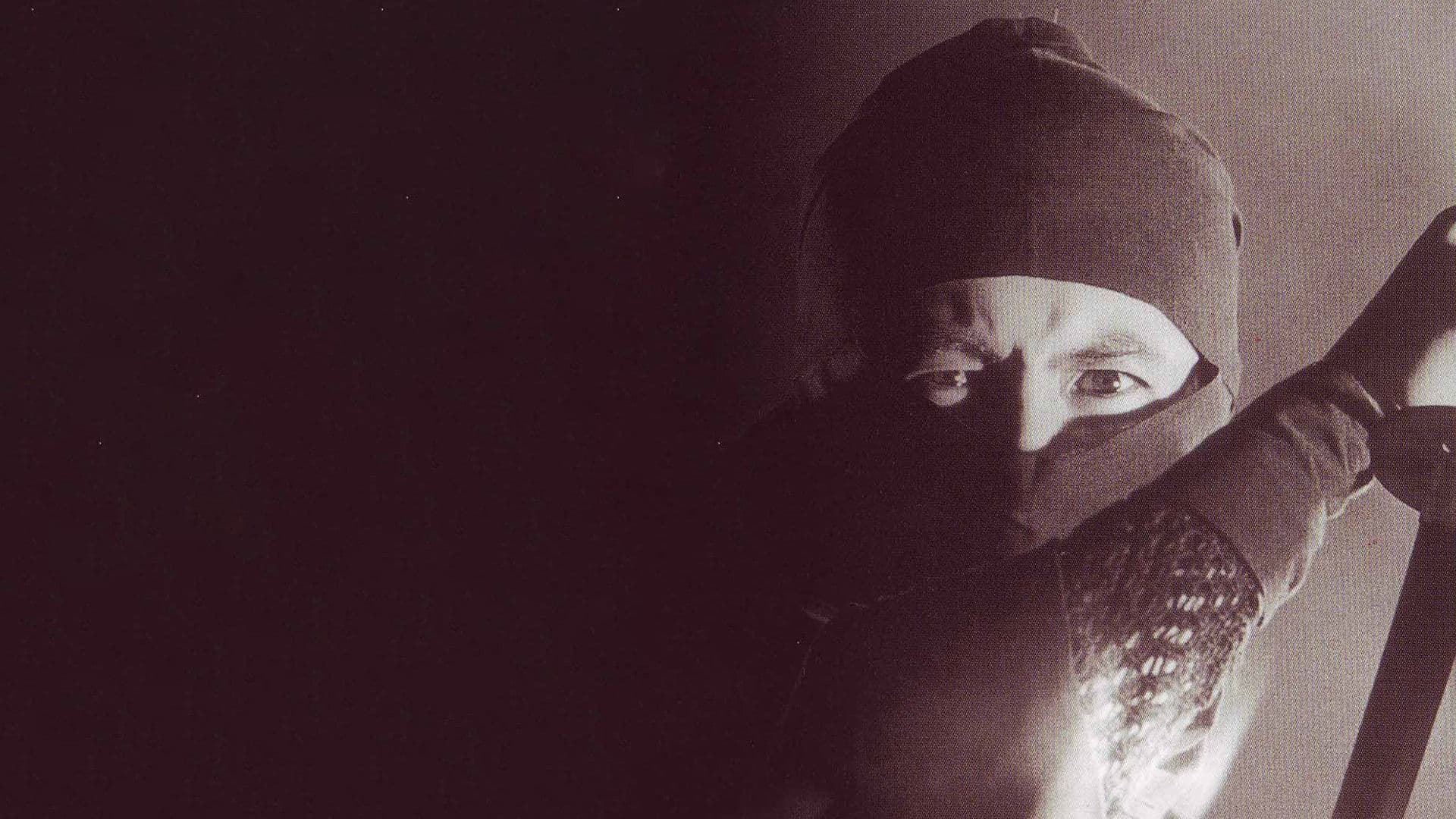 Poster backdrop for Shinobi no mono 7: Mist Saizo Strikes Back