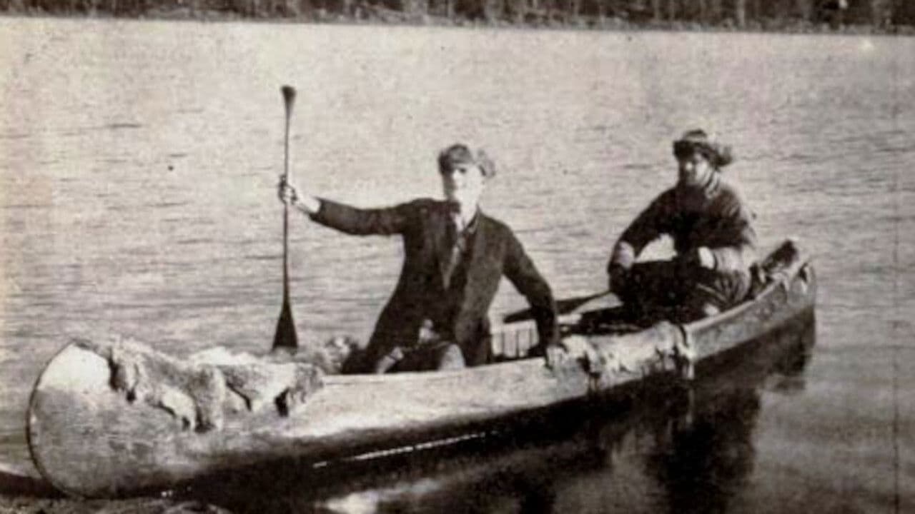 Poster backdrop for The Right of Way