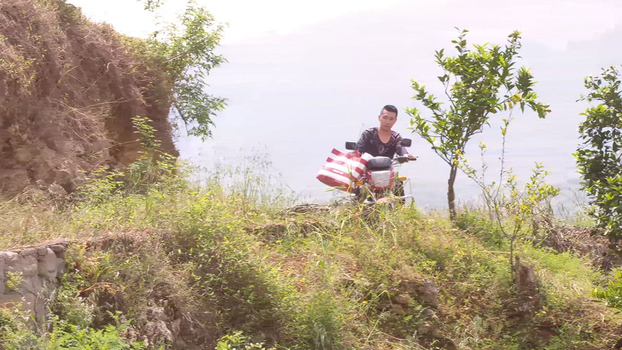 Poster backdrop for Kung Fu Baby