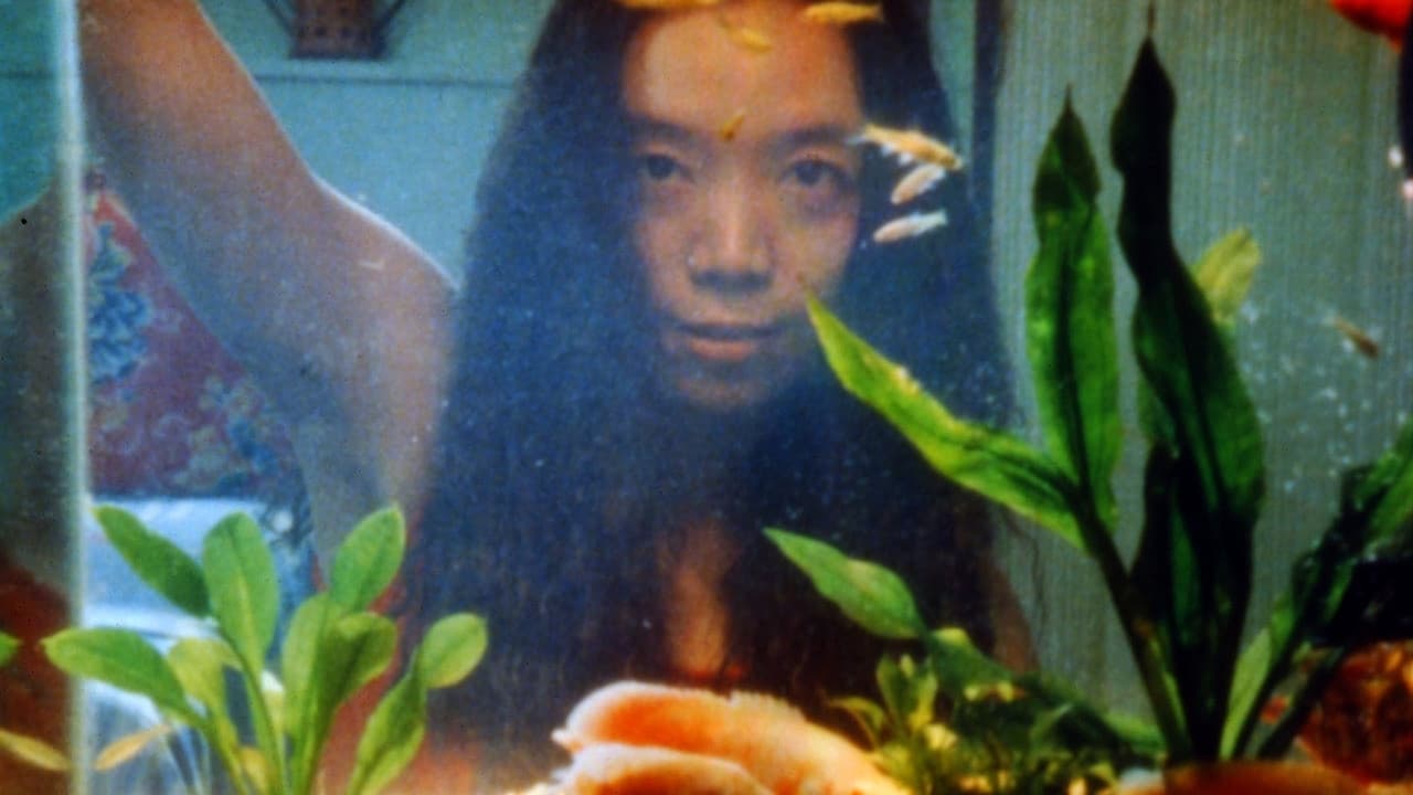 Poster backdrop for Fish and Elephant