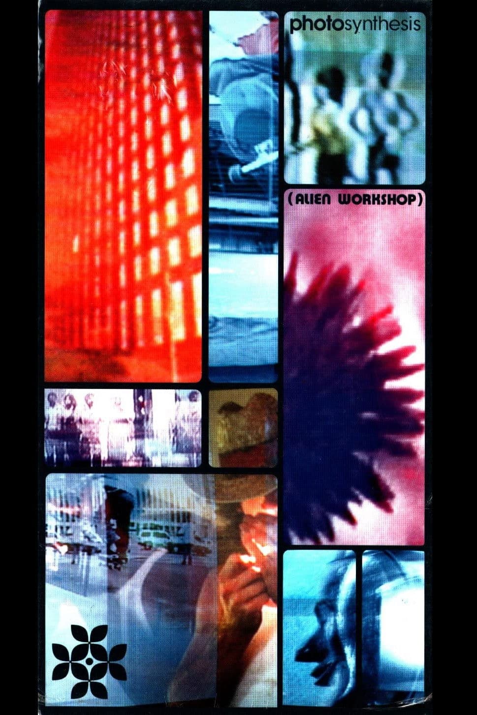 Poster backdrop for Alien Workshop: Photosynthesis