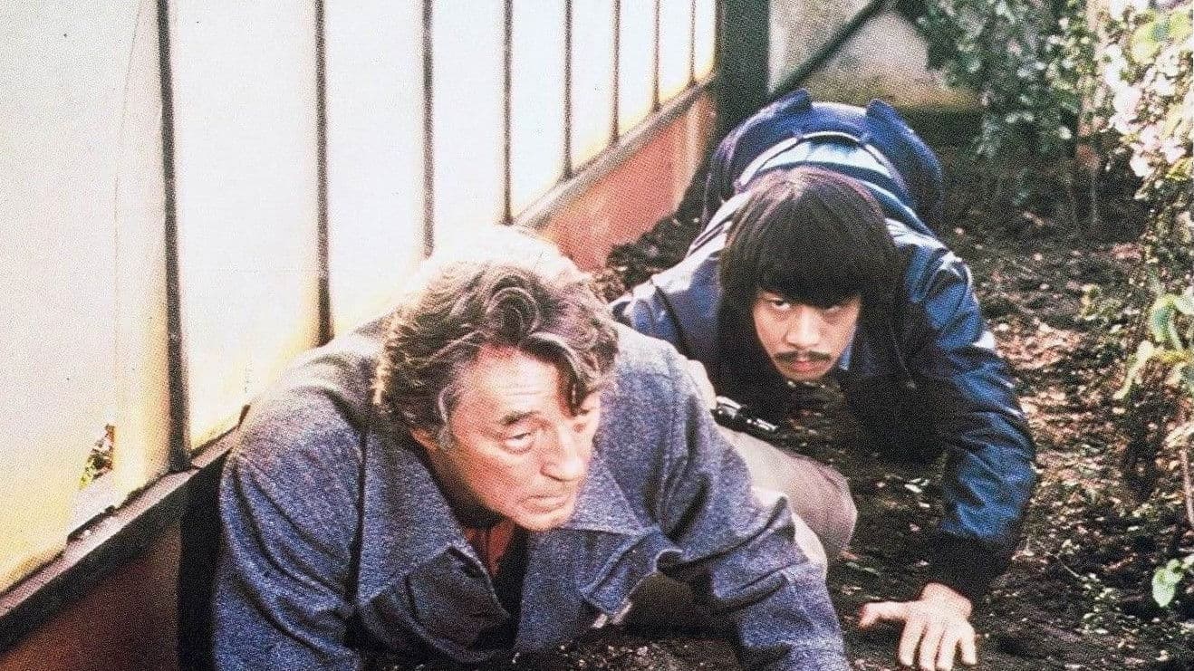 Poster backdrop for The Amsterdam Kill