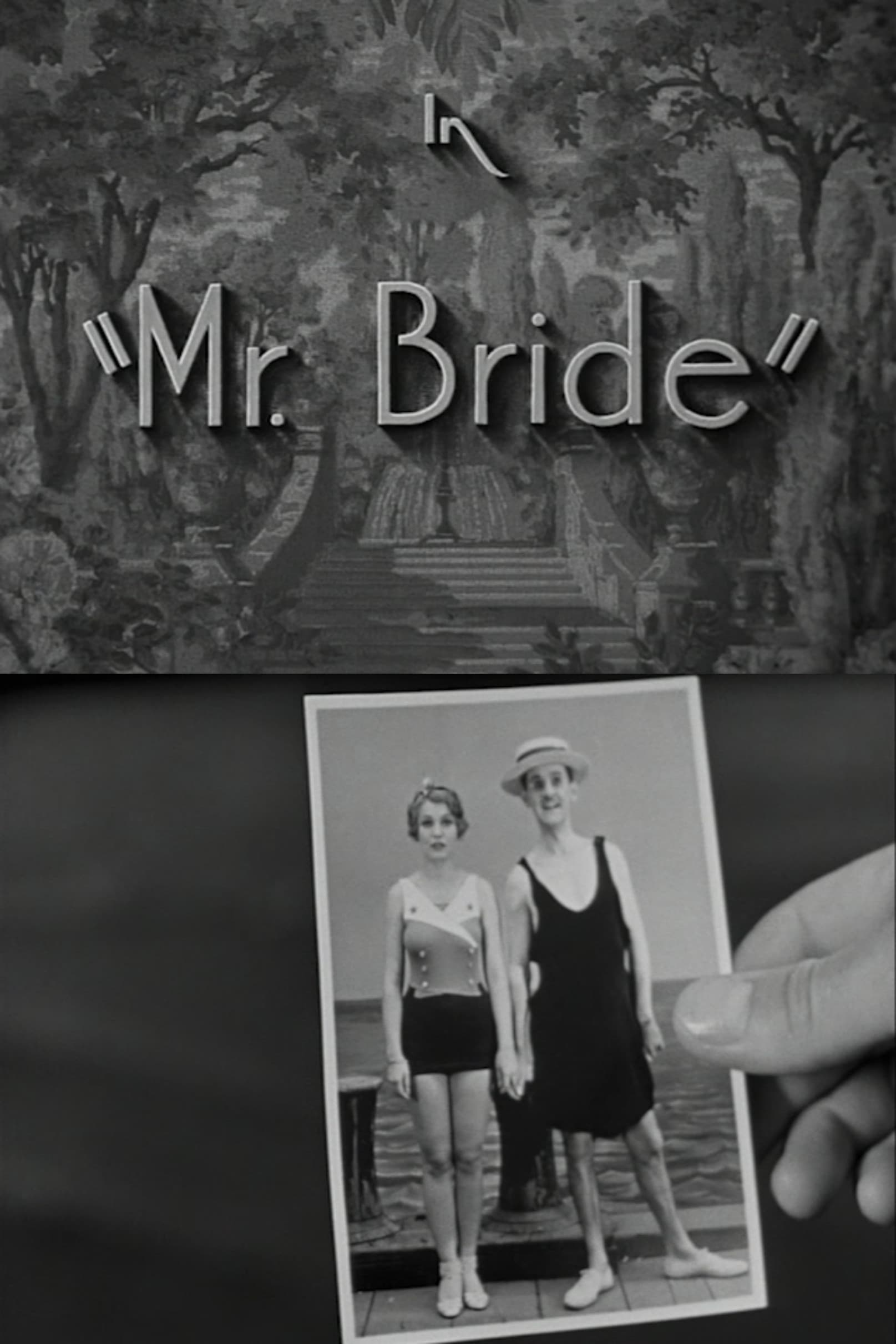 Poster backdrop for Mr. Bride