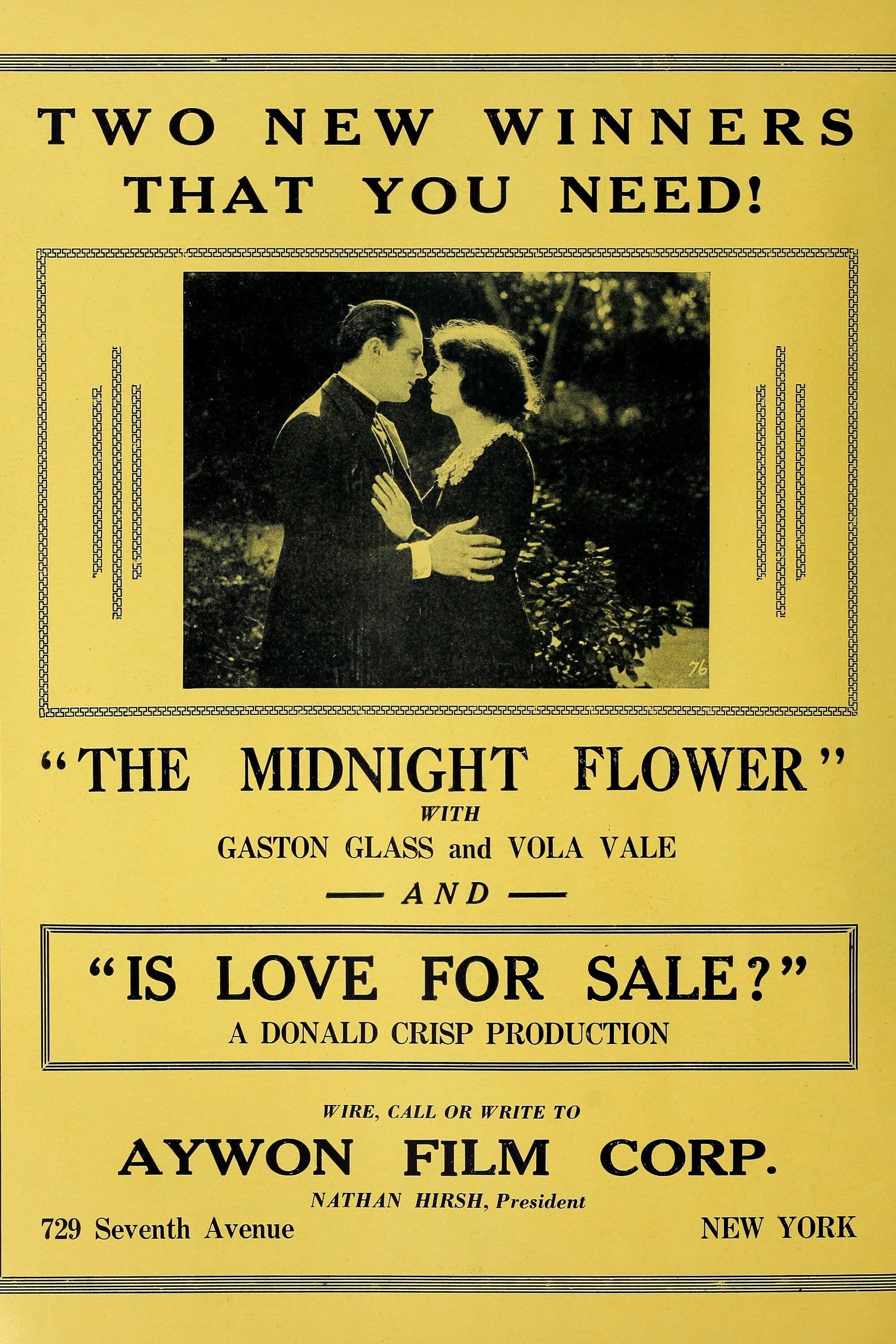 Poster backdrop for The Midnight Flower