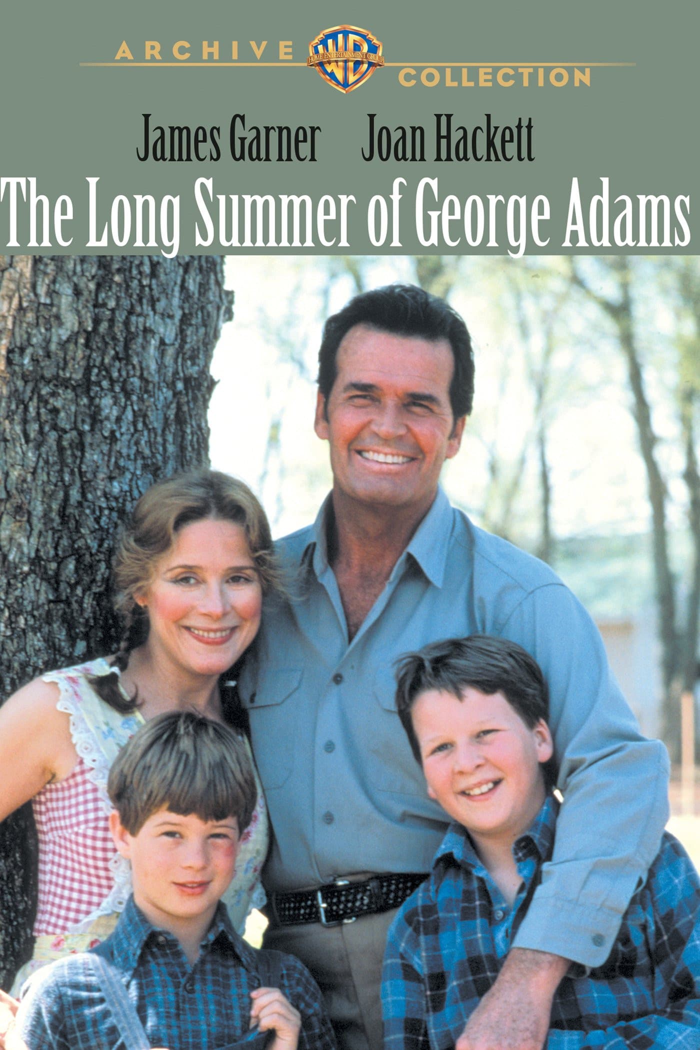 Poster backdrop for The Long Summer of George Adams