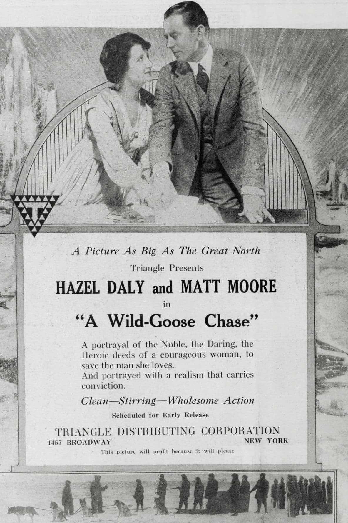 Poster backdrop for A Wild Goose Chase
