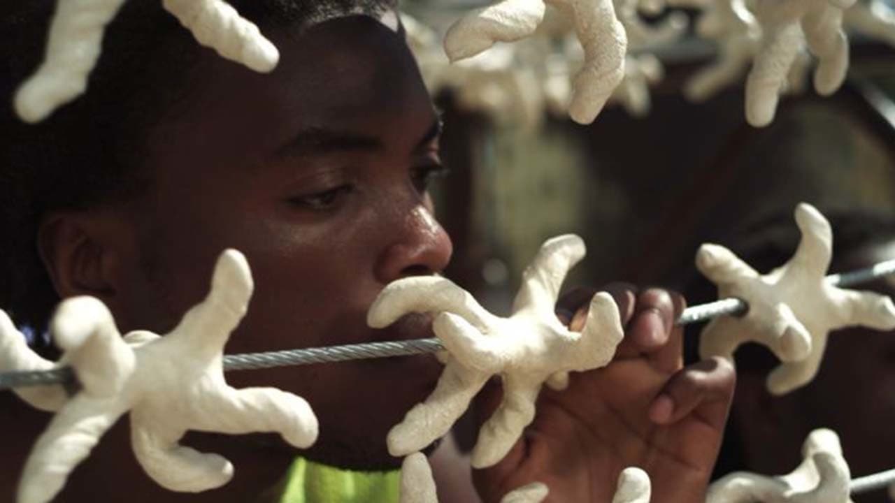 Poster backdrop for Black Star