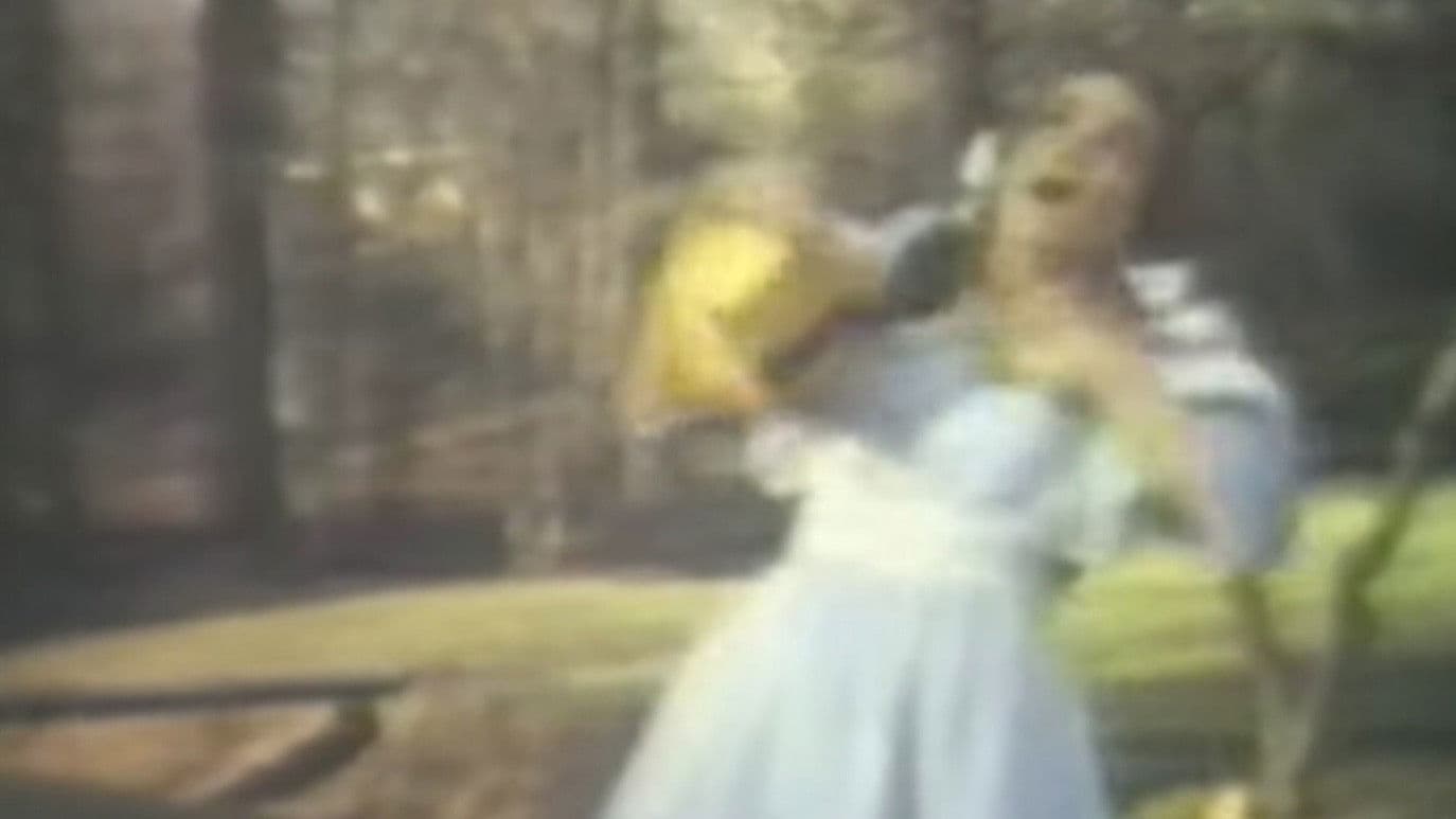 Poster backdrop for Dorothy, the Kansas City Pot Head