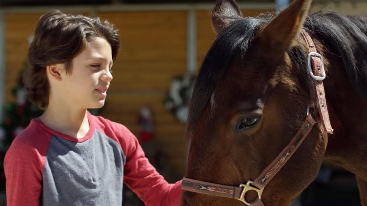 Poster backdrop for Ace & the Christmas Miracle