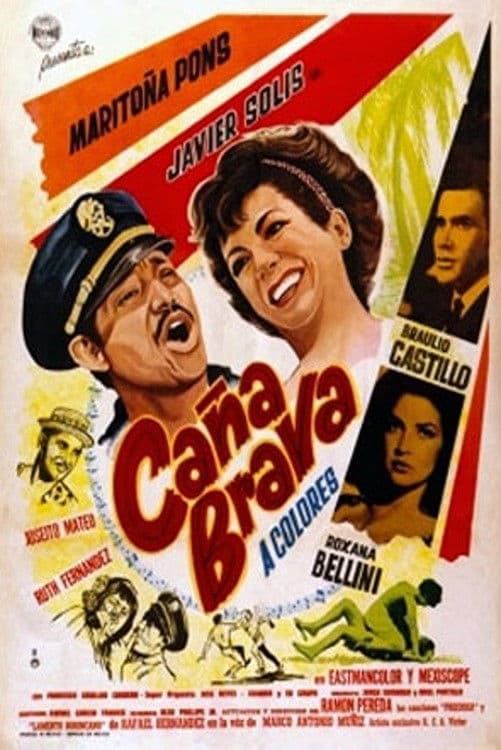 Poster backdrop for Caña brava