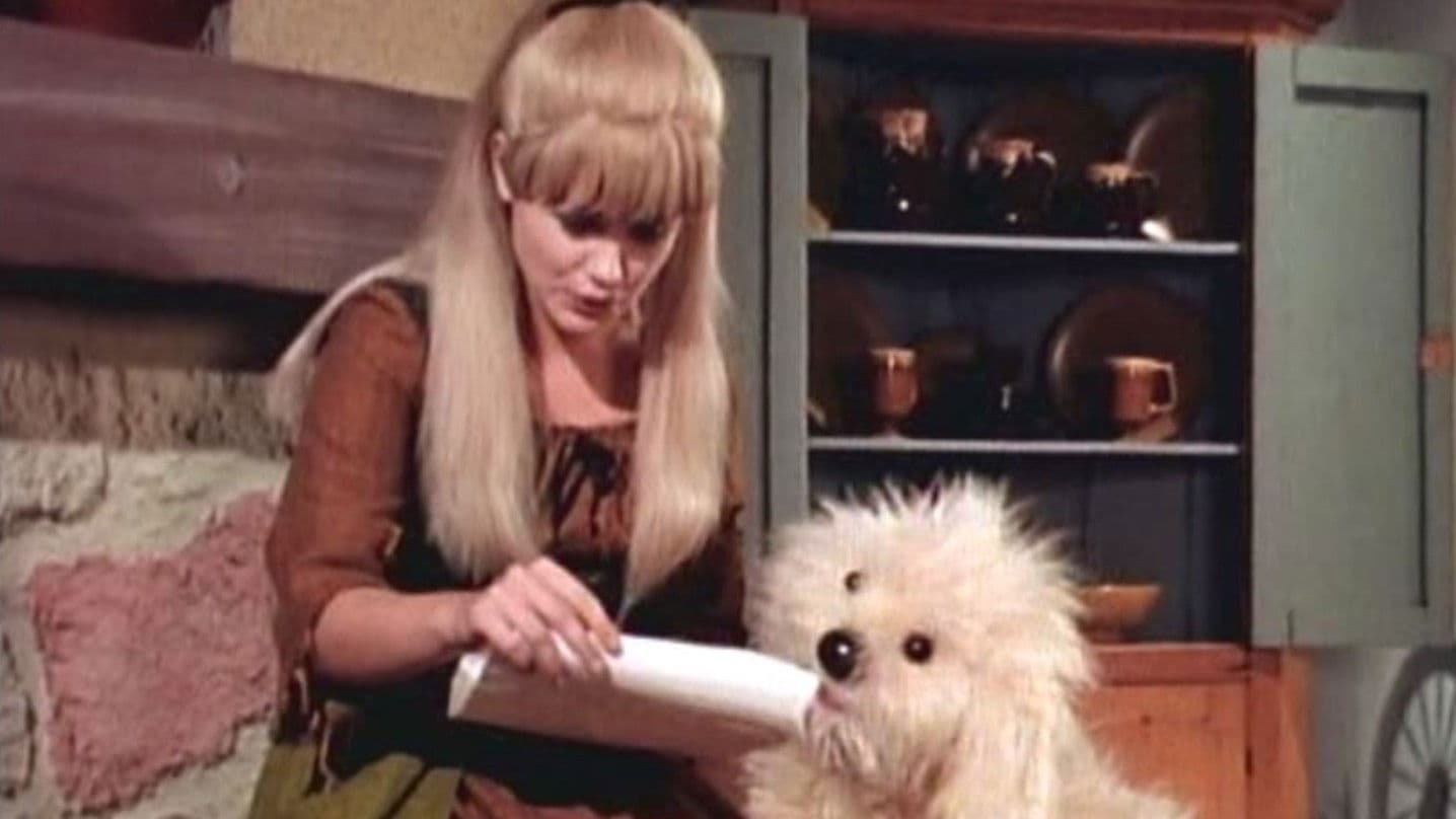 Poster backdrop for Hey Cinderella!