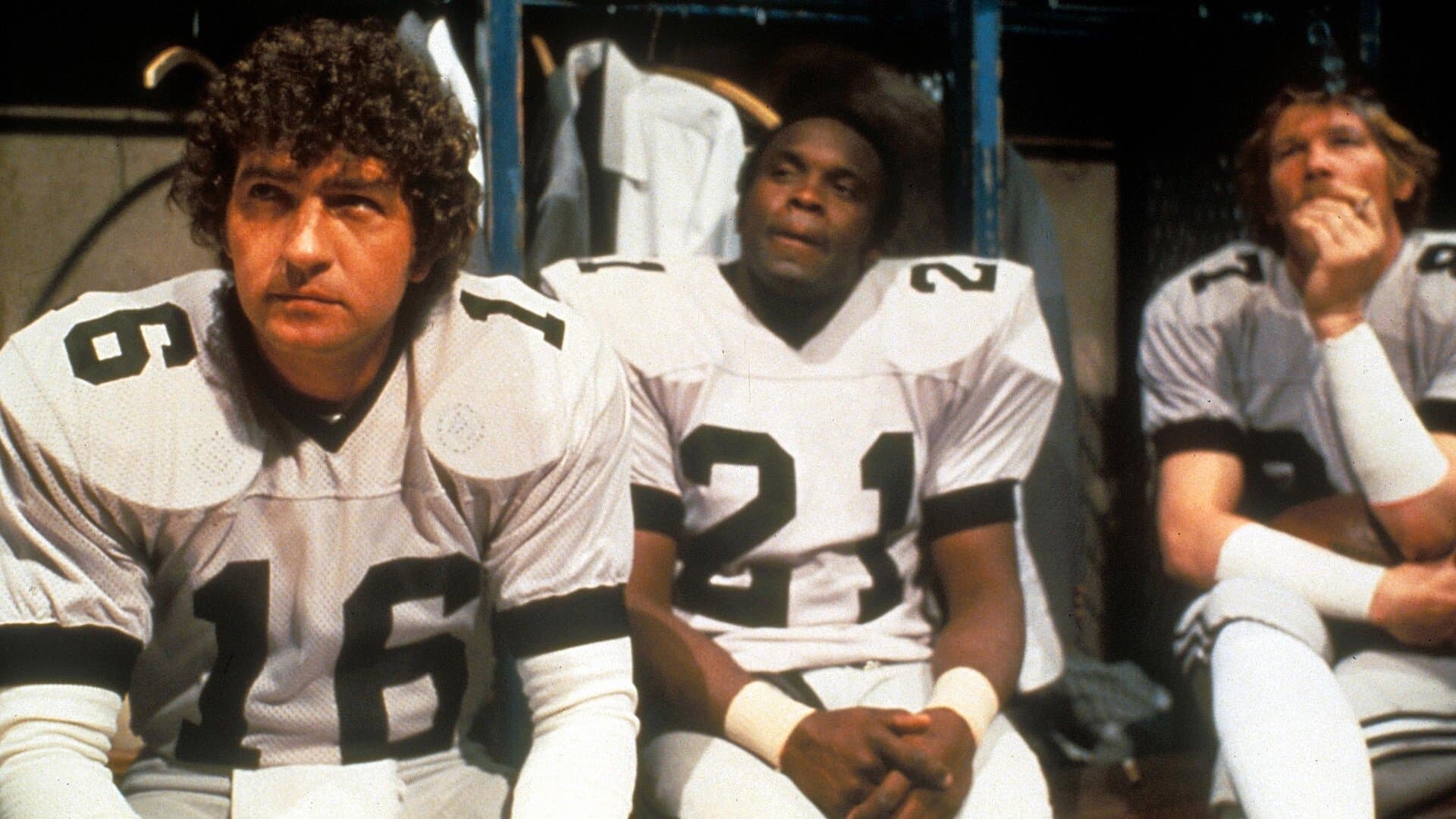 Poster backdrop for North Dallas Forty