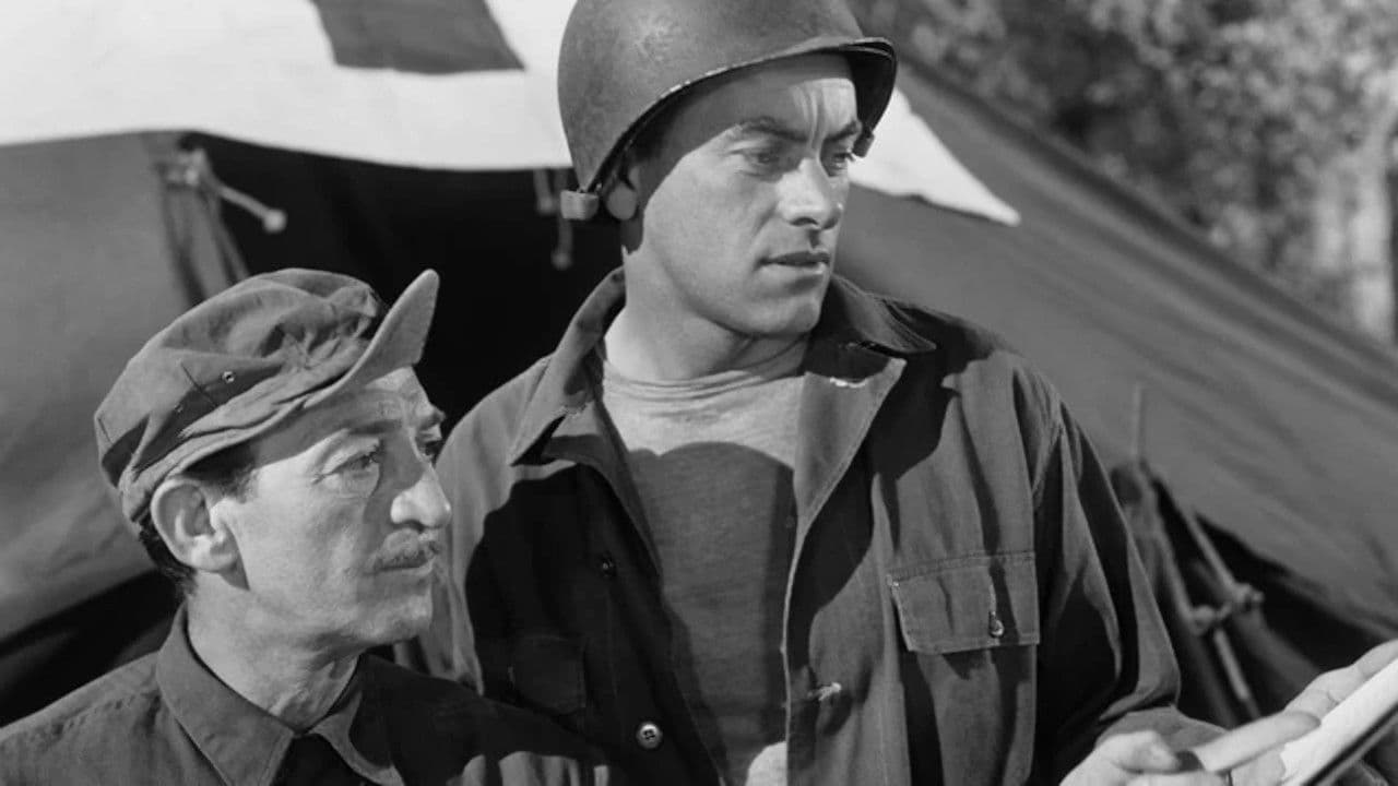 Poster backdrop for Combat Squad