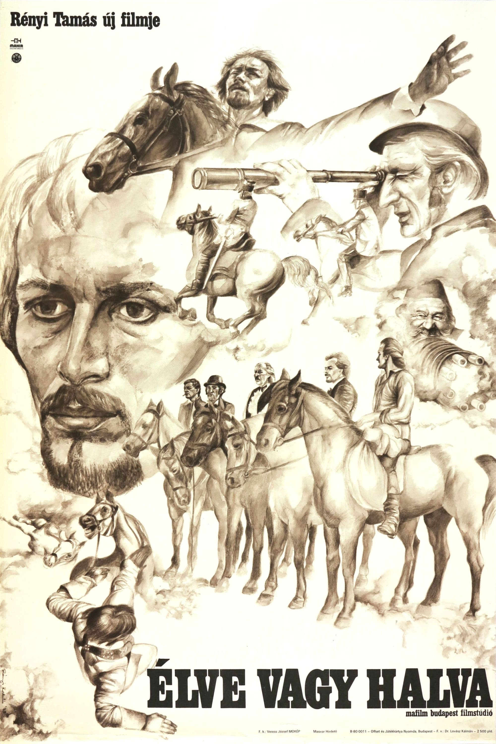 Poster backdrop for Dead or Alive