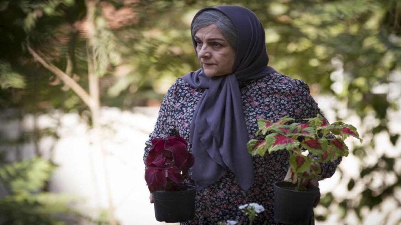 Poster backdrop for Life Again