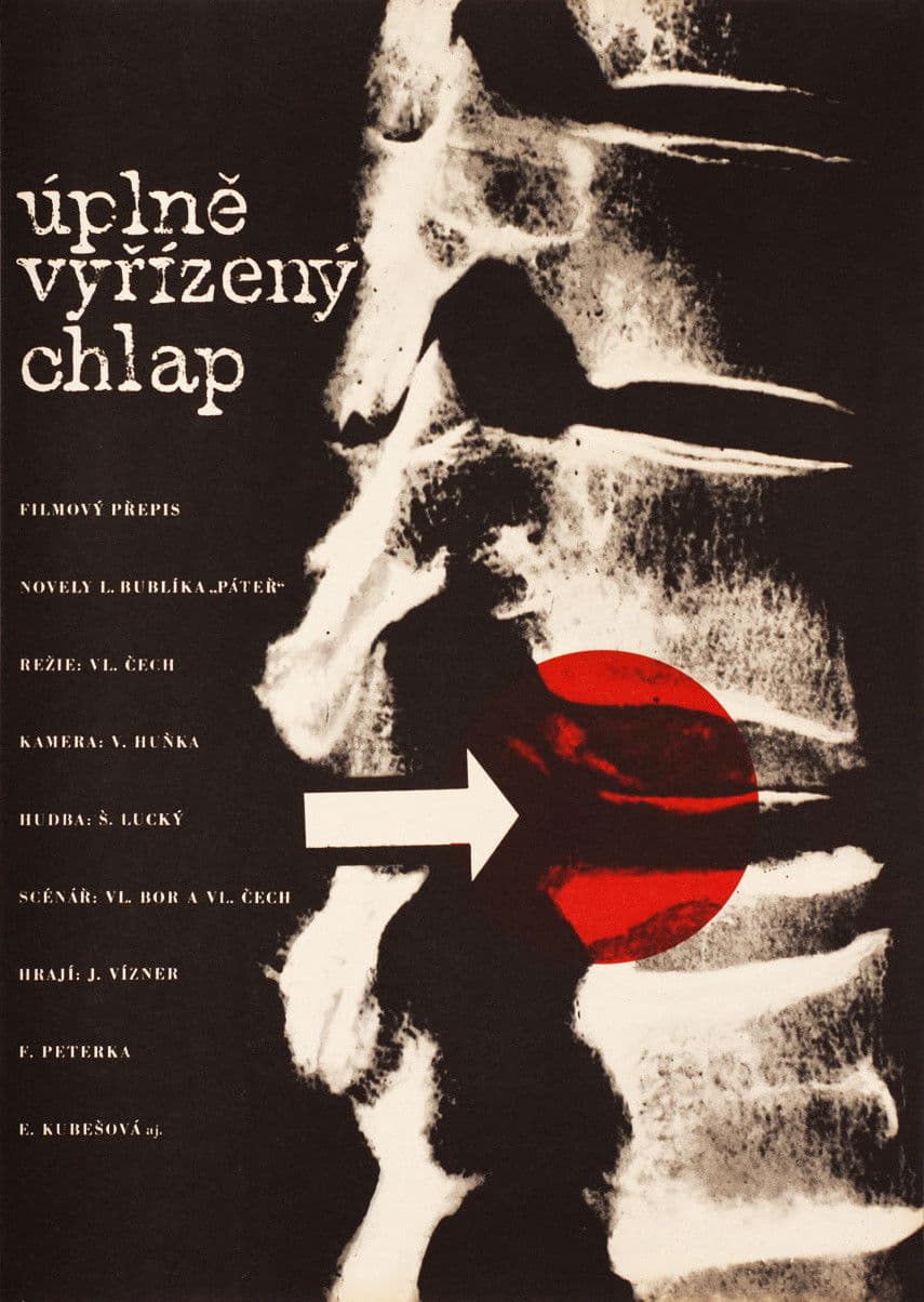 Poster backdrop for Úplně vyřízený chlap