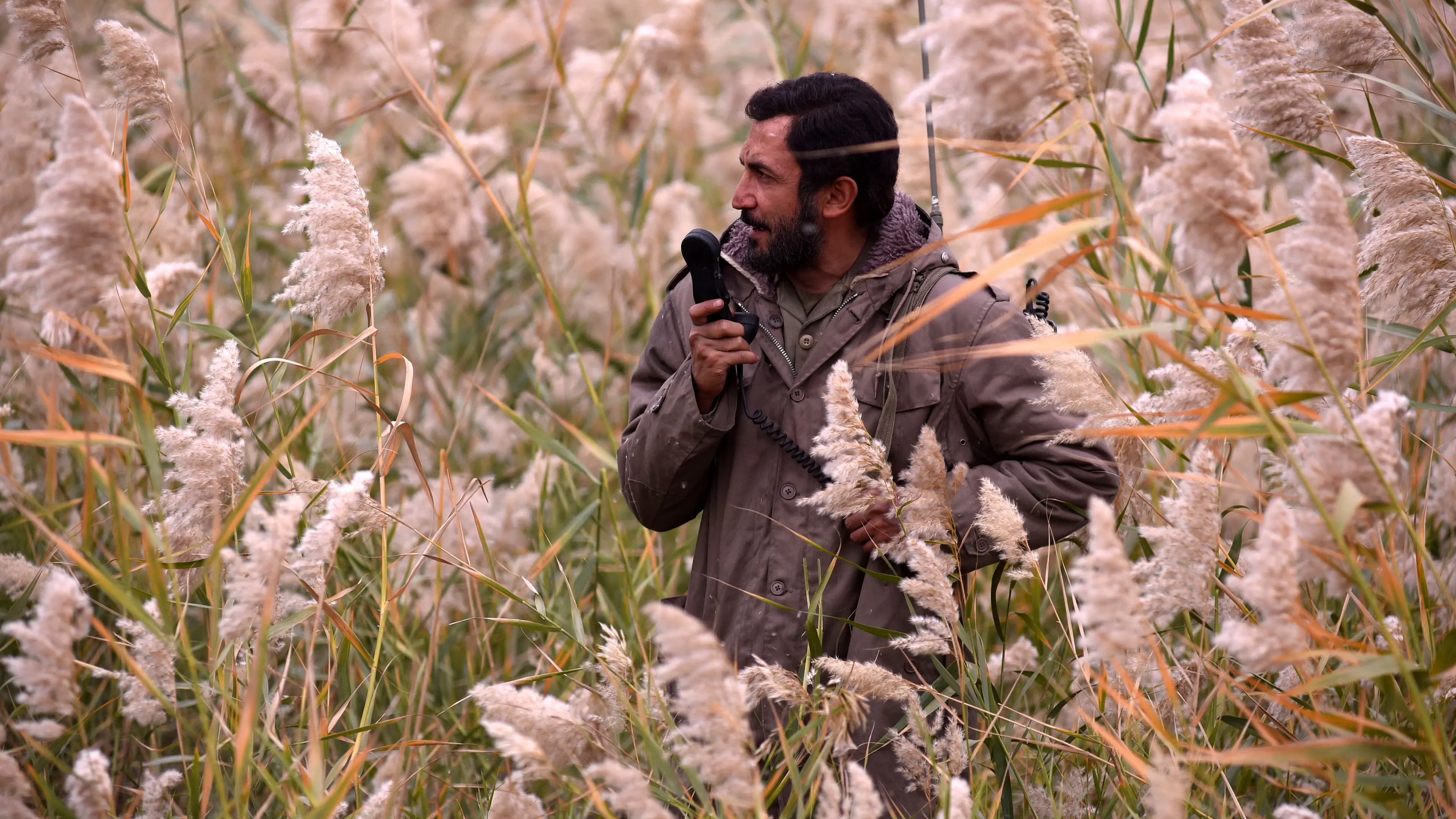 Poster backdrop for The Situation of Mehdi