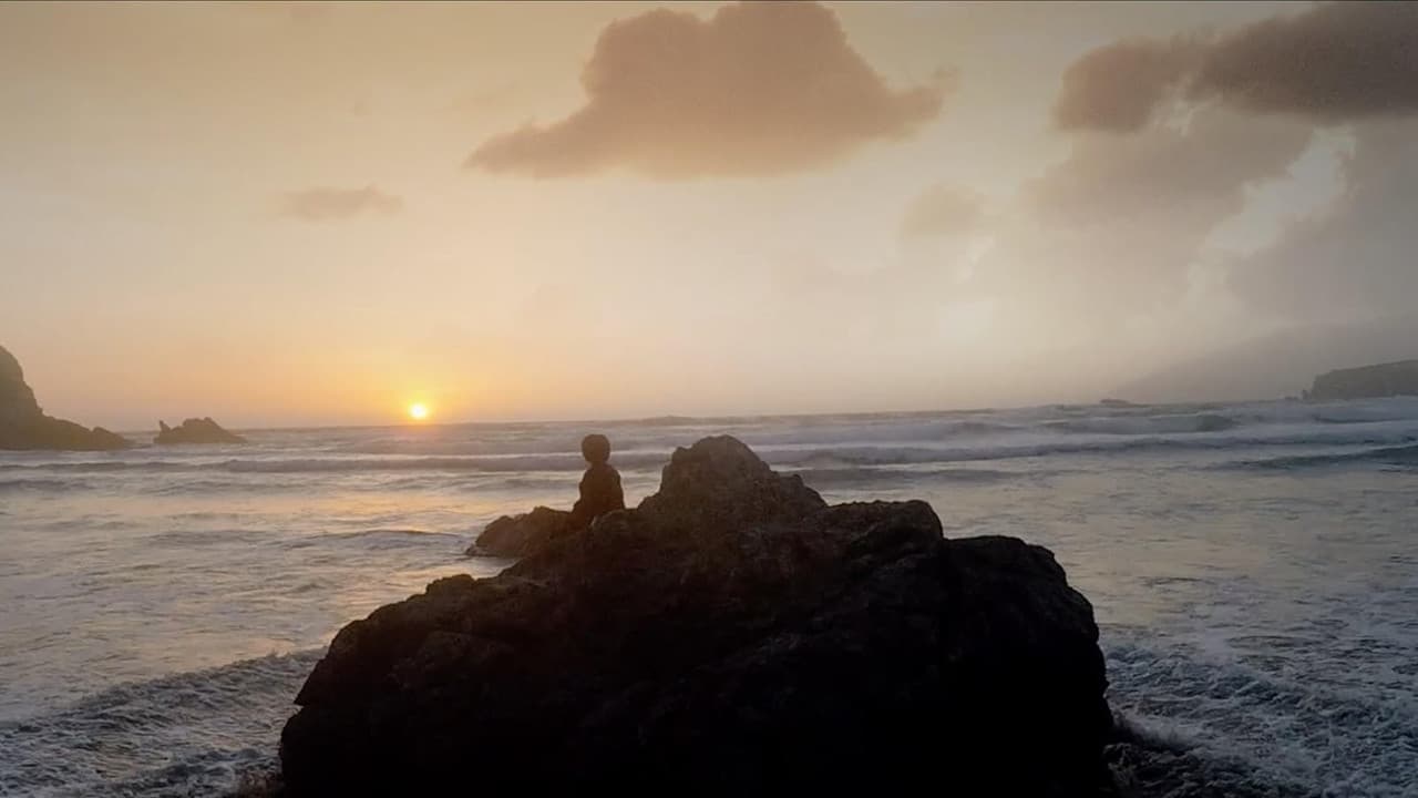 Poster backdrop for A Boy Called Po