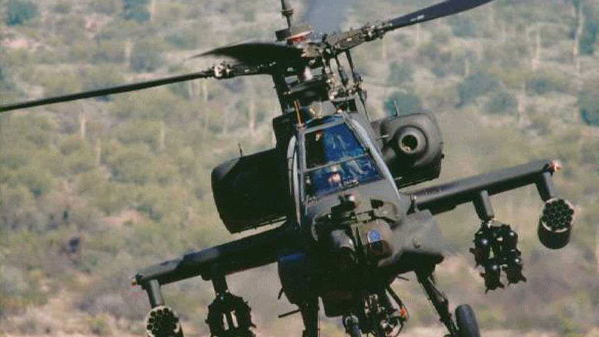 Poster backdrop for The Firing Line