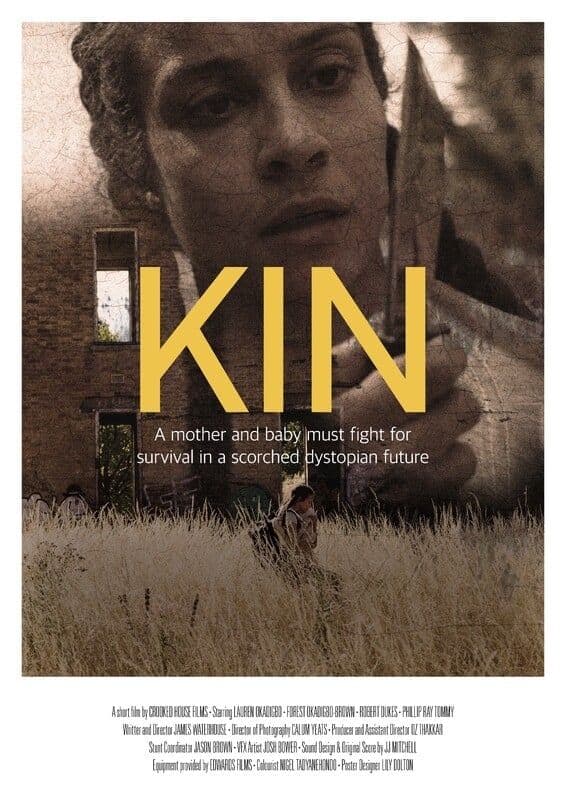 Poster backdrop for KIN