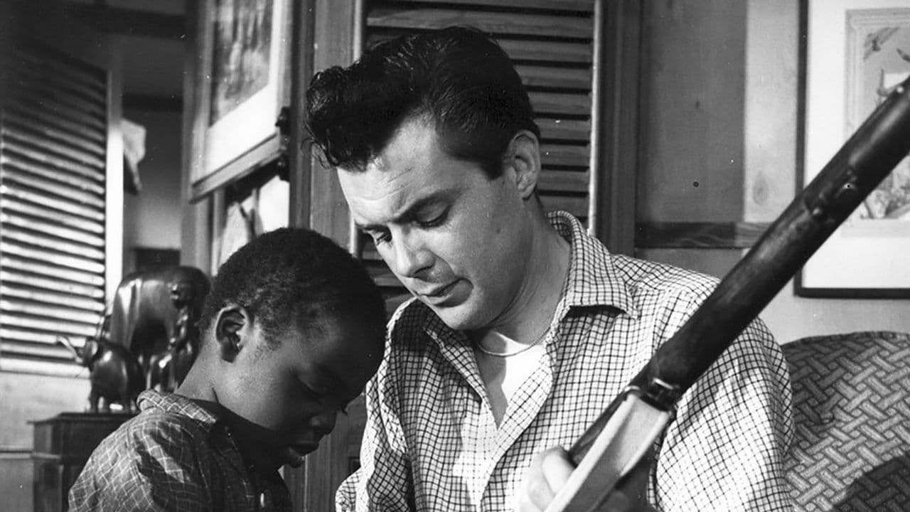 Poster backdrop for Simba