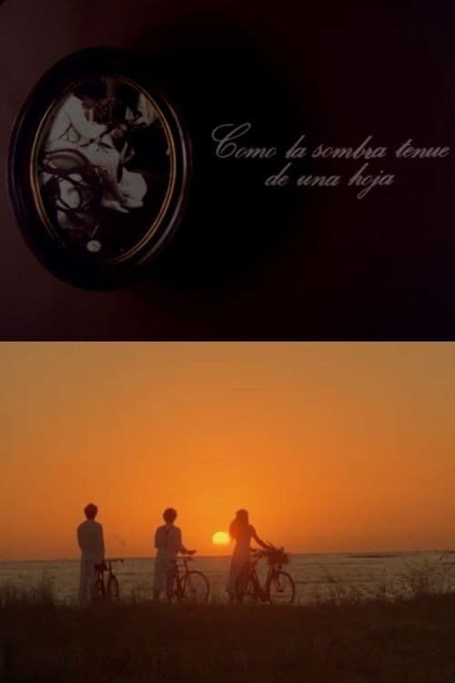 Poster backdrop for Como la sombra tenue de una hoja