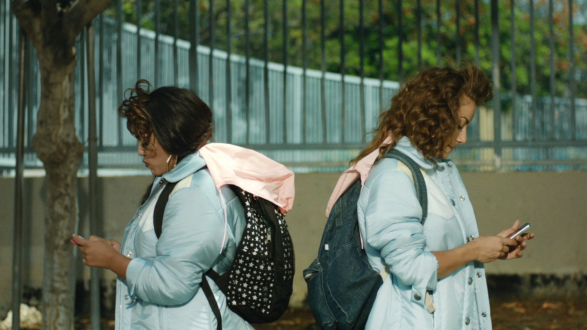 Poster backdrop for Somebody