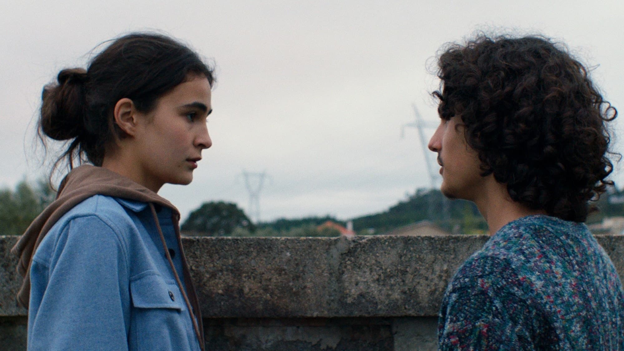 Poster backdrop for Shimmering Bodies