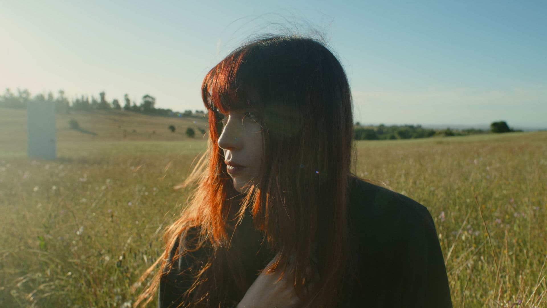 Poster backdrop for Génesis