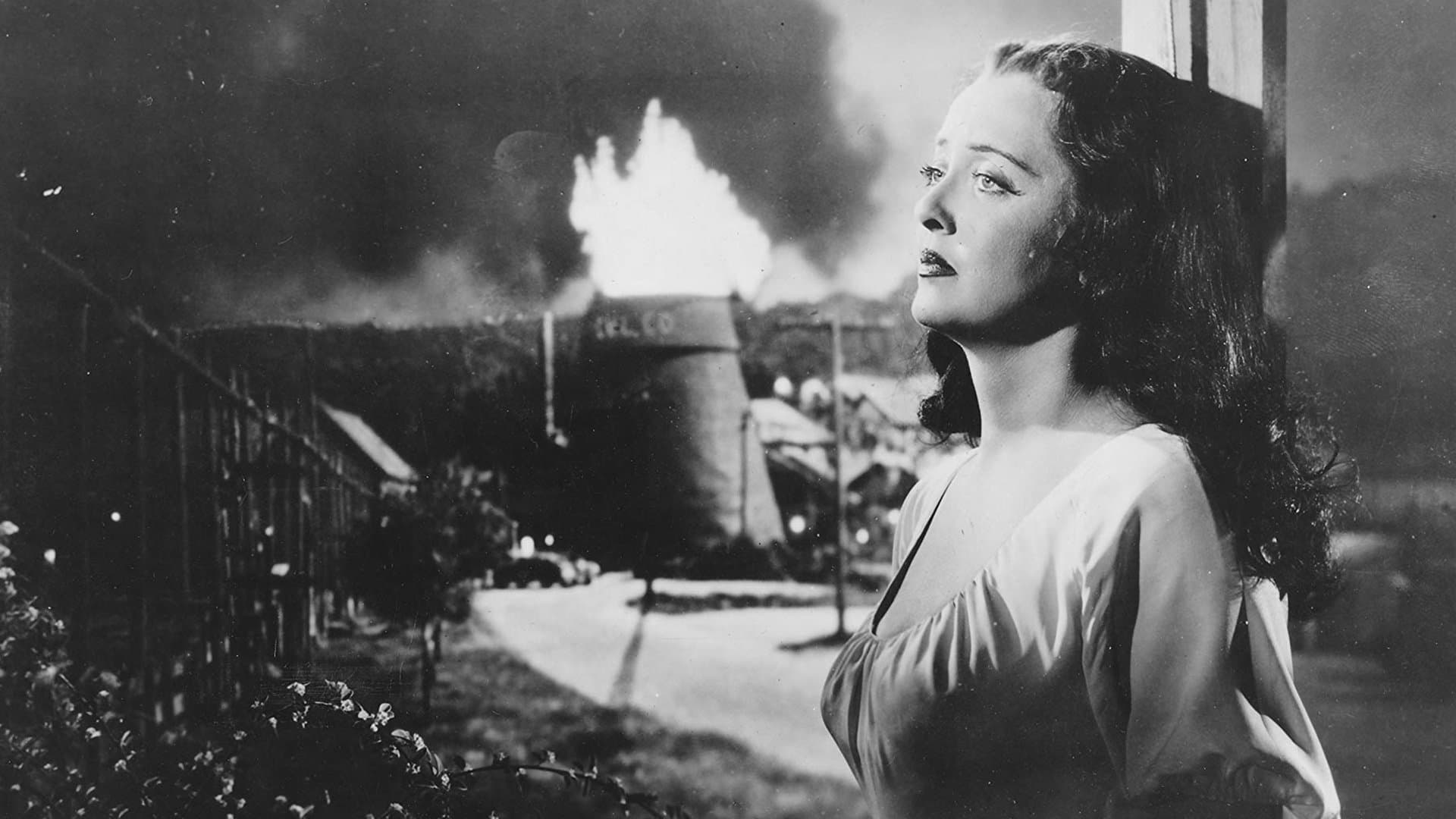 Poster backdrop for Beyond the Forest