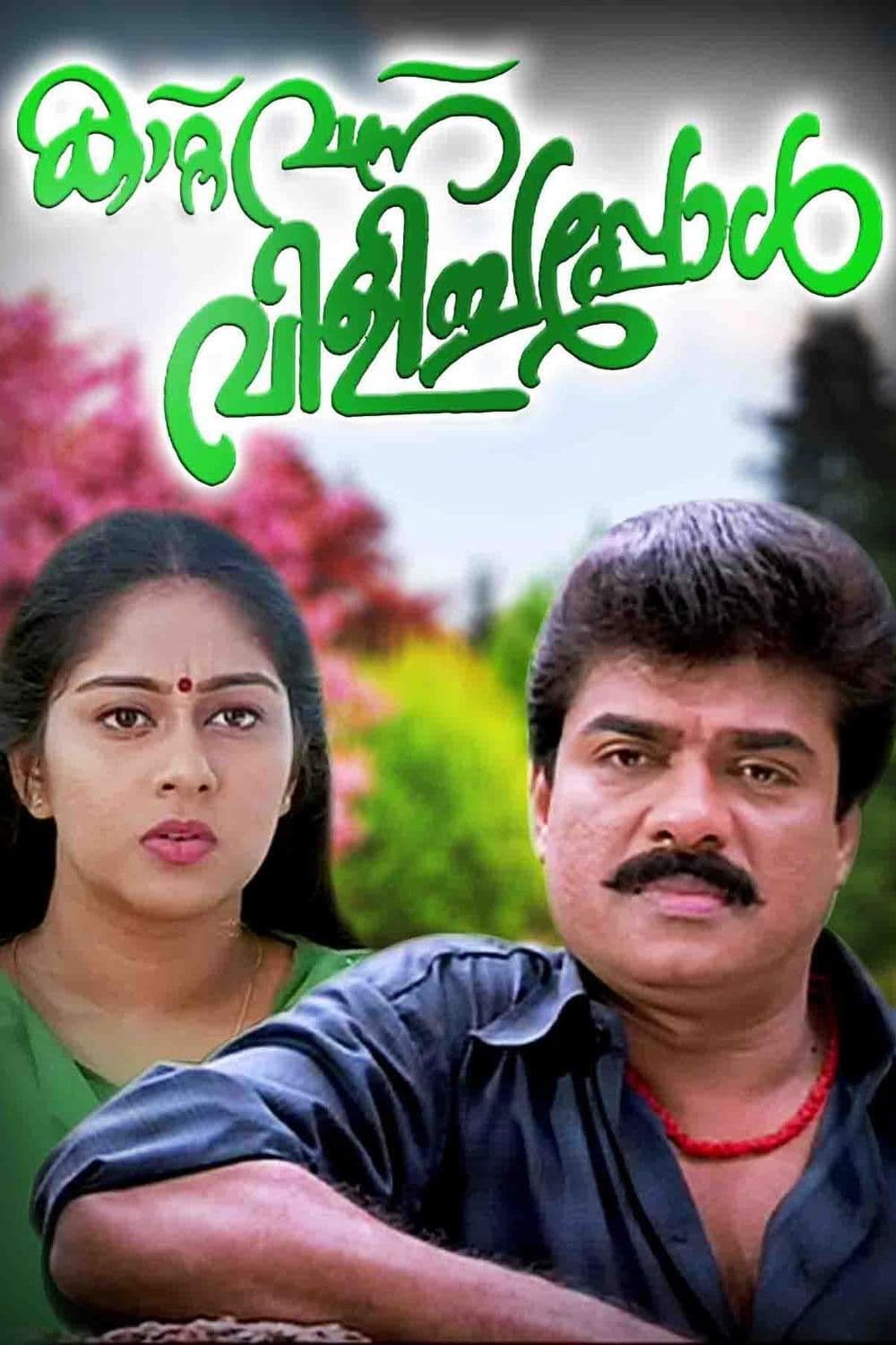 Poster backdrop for Kattuvannuvilichapol