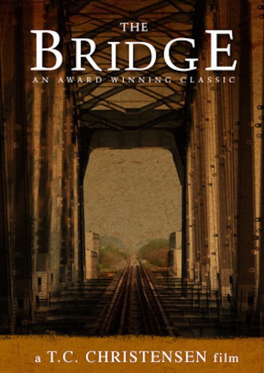 Poster backdrop for The Bridge