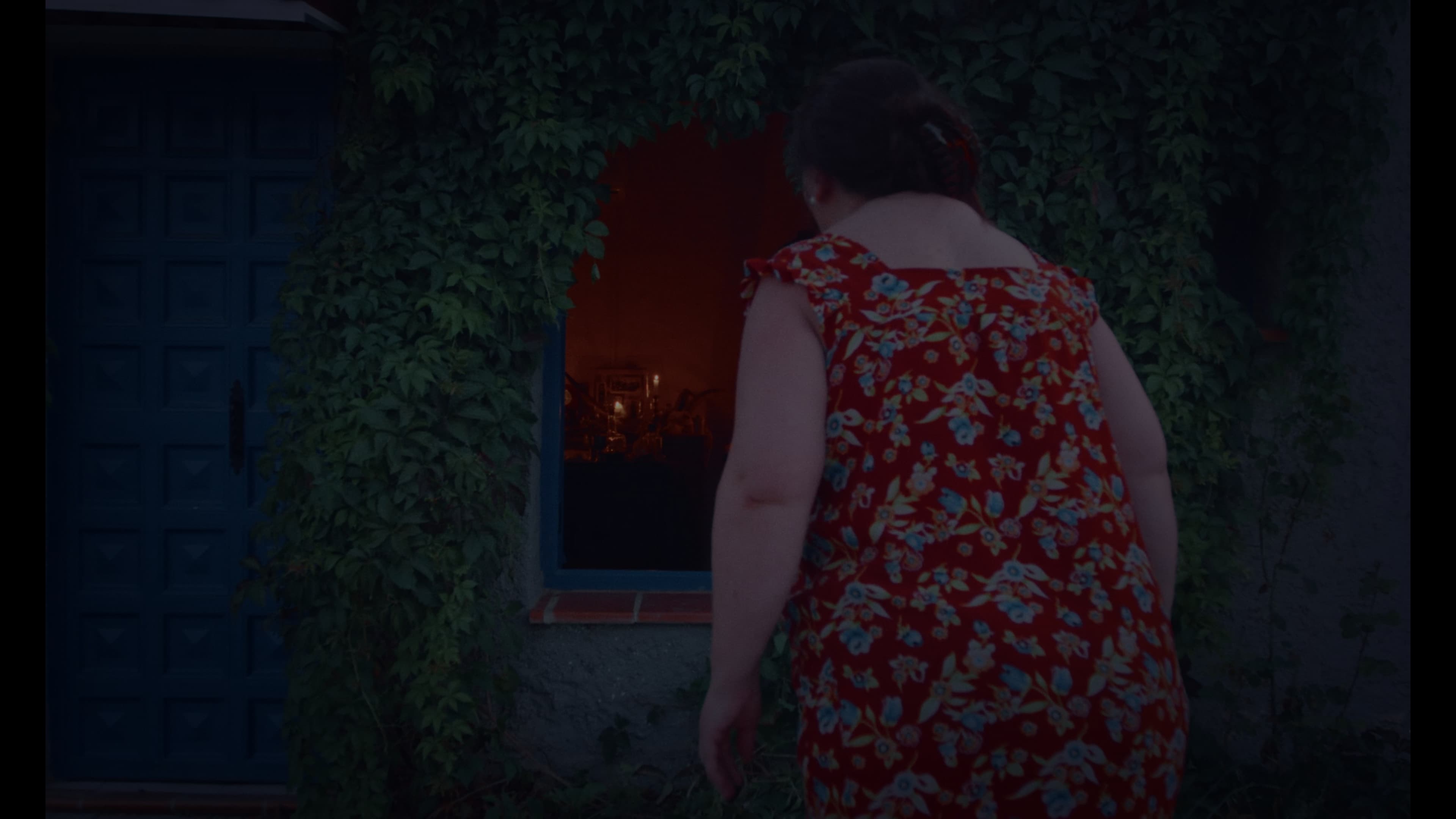 Poster backdrop for Curiosity Killed the Cat