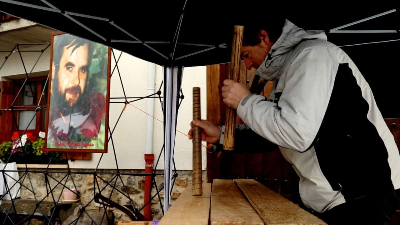 Poster backdrop for Where Is Mikel?