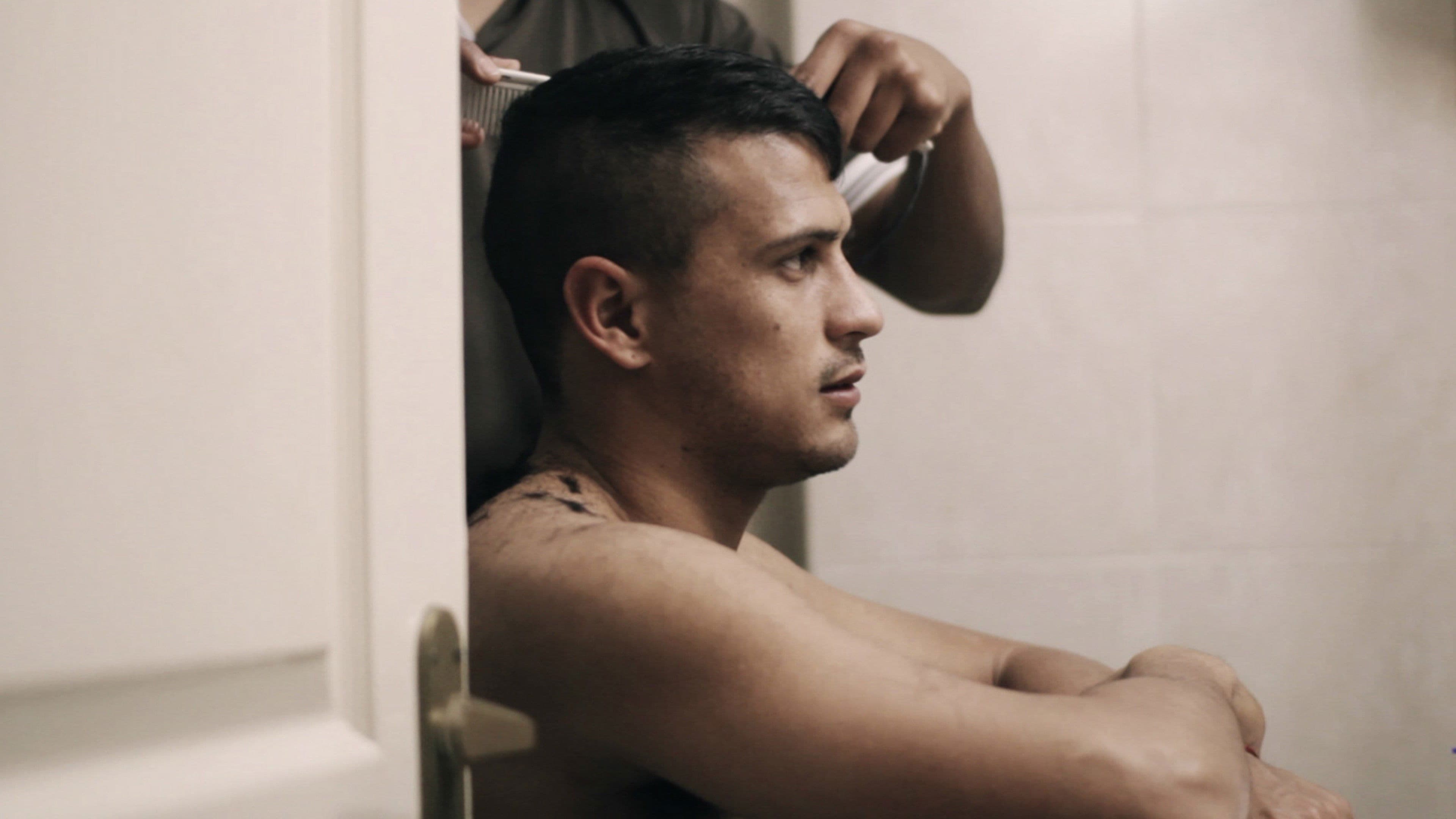 Poster backdrop for Fulboy