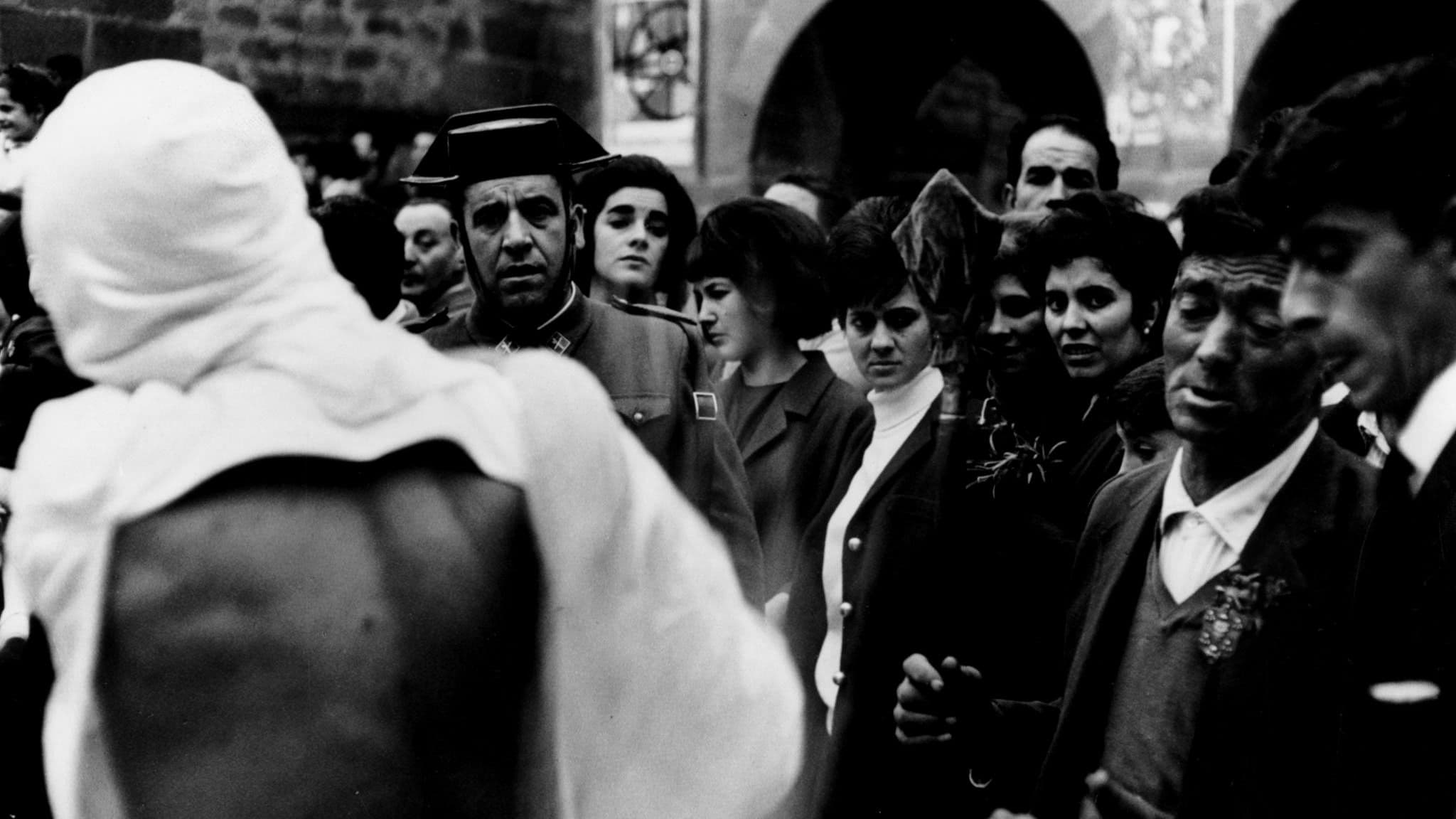 Poster backdrop for Far from the Trees