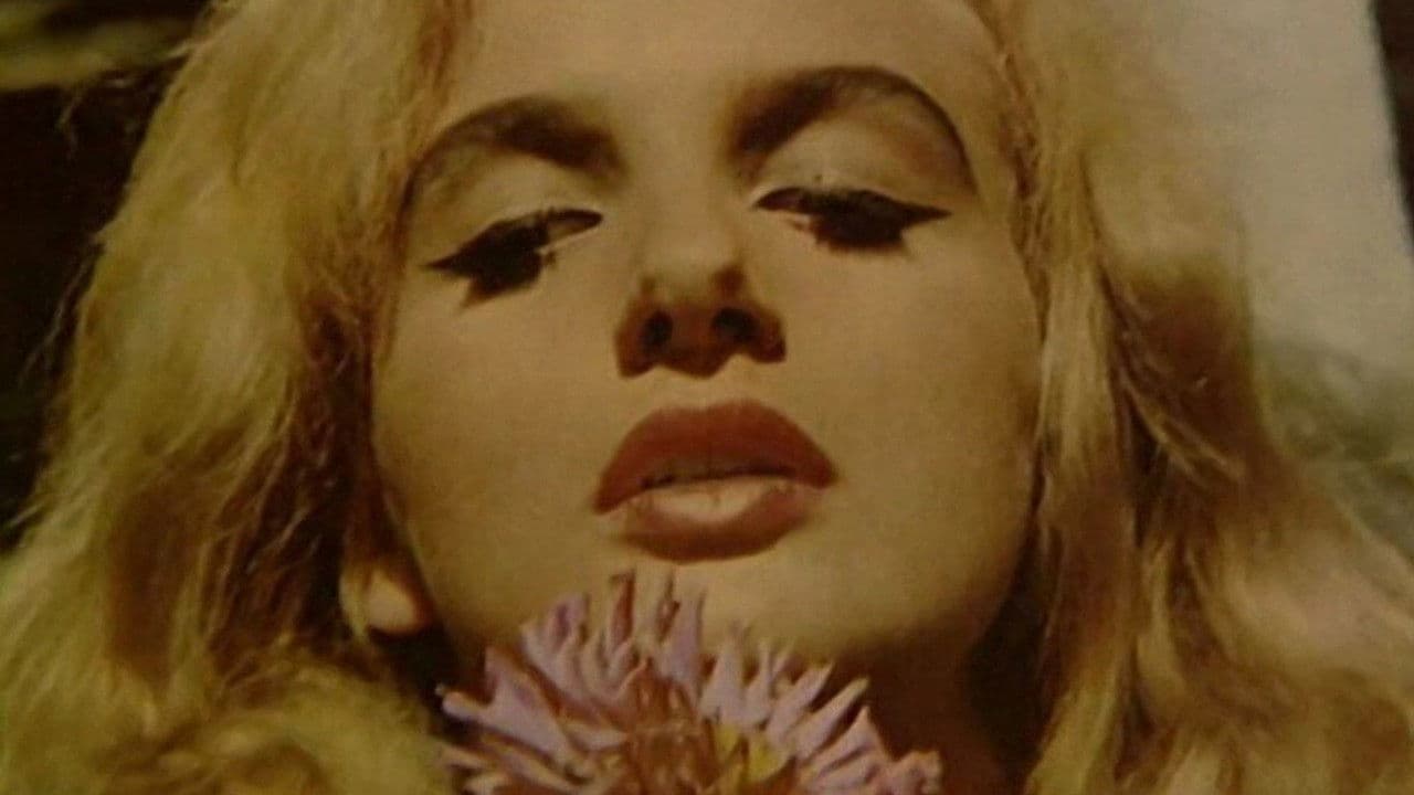 Poster backdrop for Didn't Do It For Love