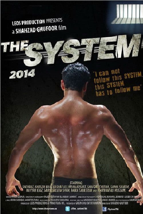 Poster backdrop for The System