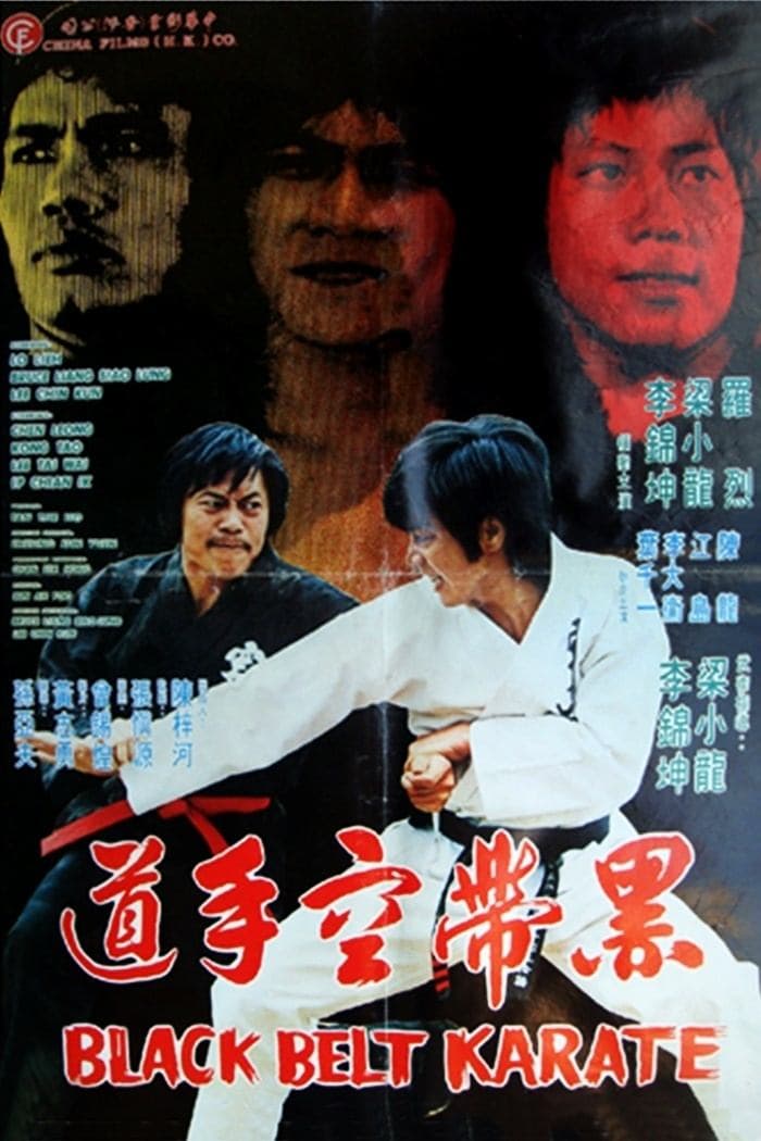 Poster backdrop for Black Belt Karate