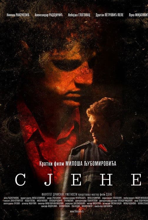 Poster backdrop for Shadows - The Last Days of Gavrilo Princip