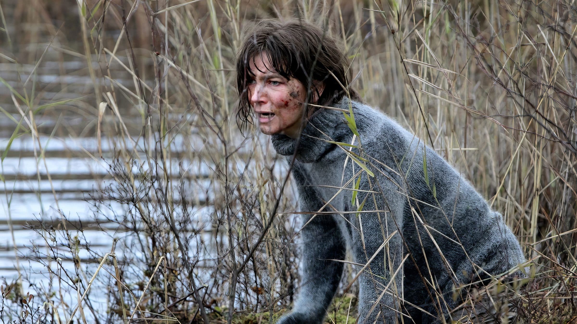 Poster backdrop for Irene Huss 8: Det lömska nätet