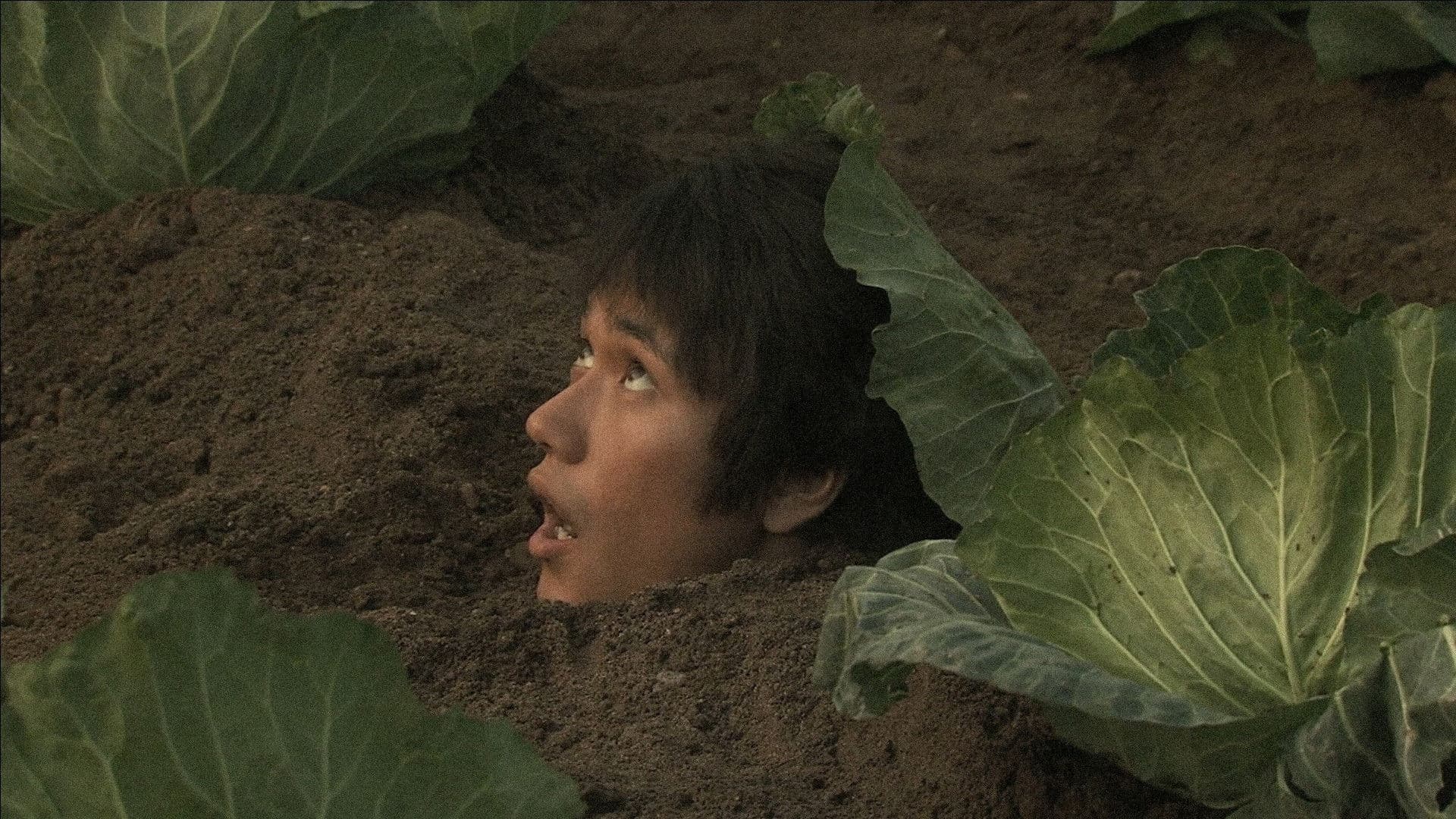 Poster backdrop for Bare Essence of Life