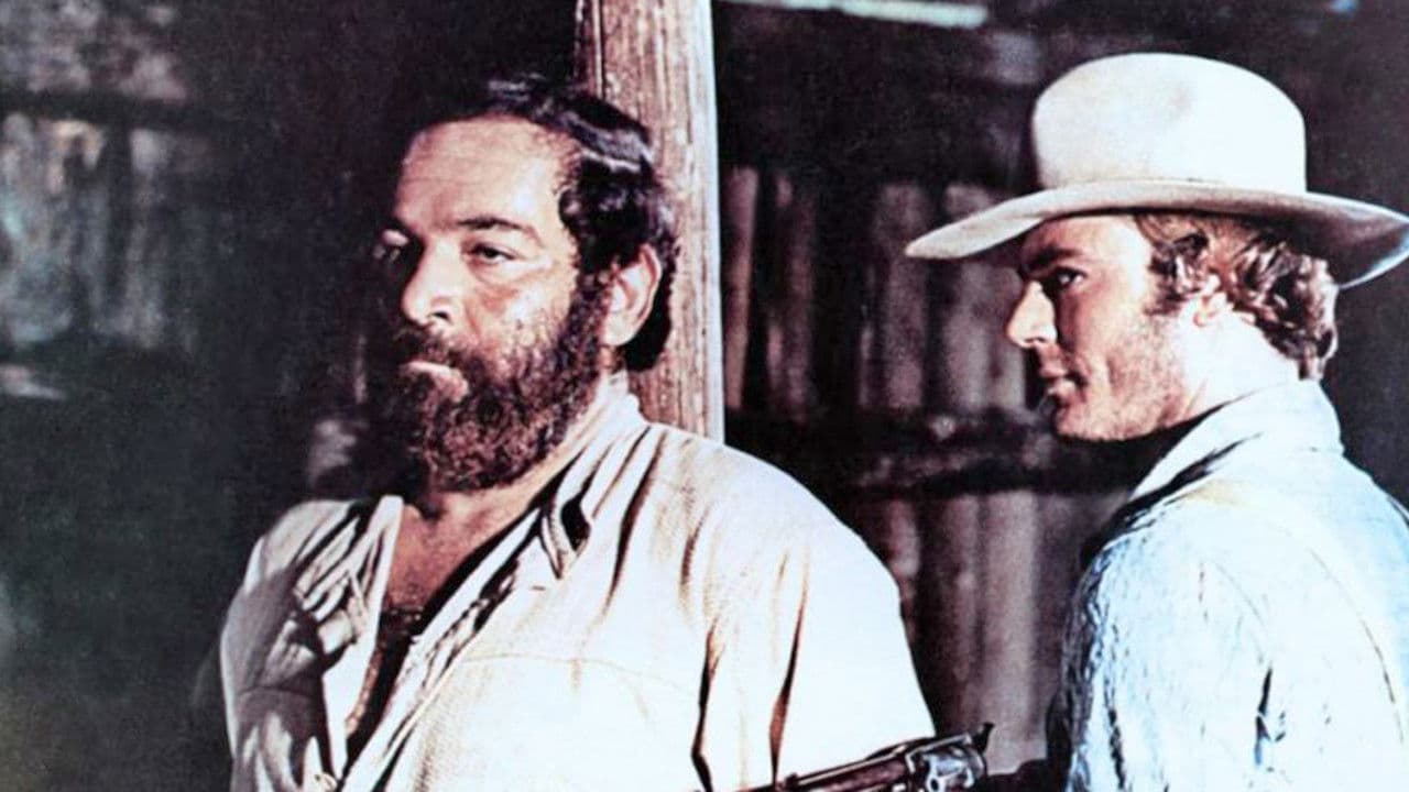 Poster backdrop for Carambola!