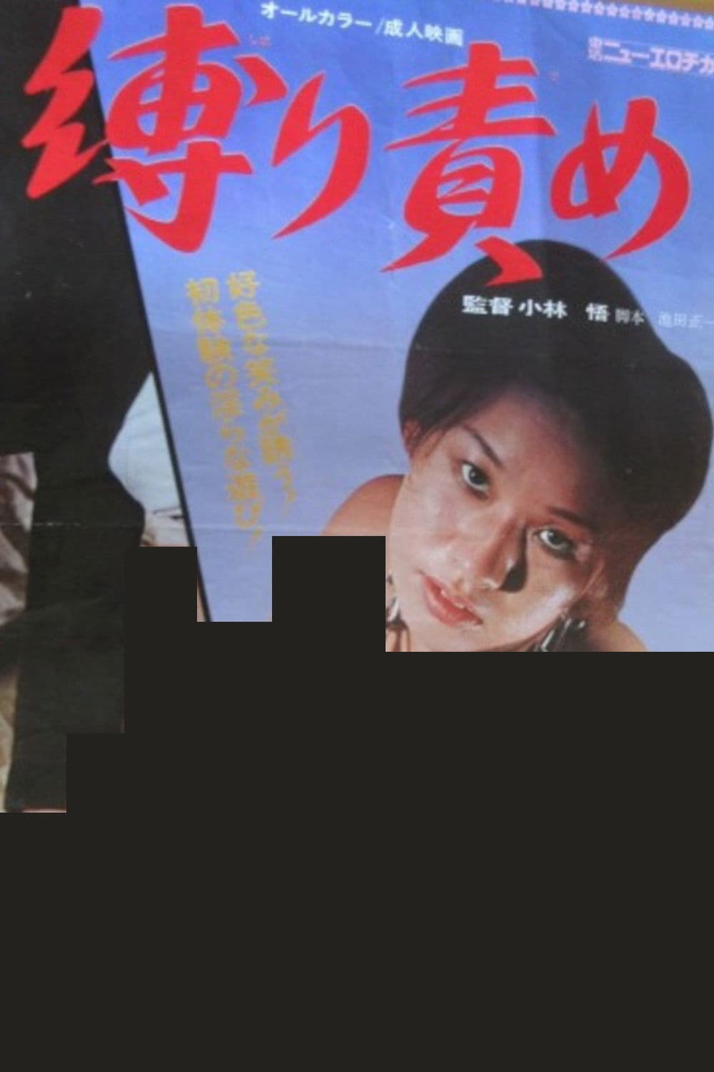 Poster backdrop for Bondage Torture