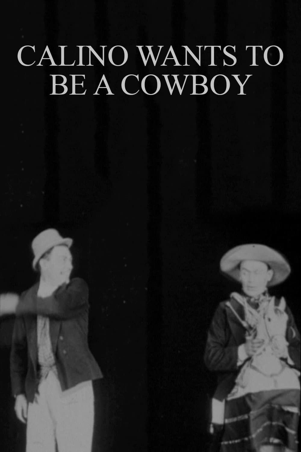 Poster backdrop for Calino Wants to Be a Cowboy