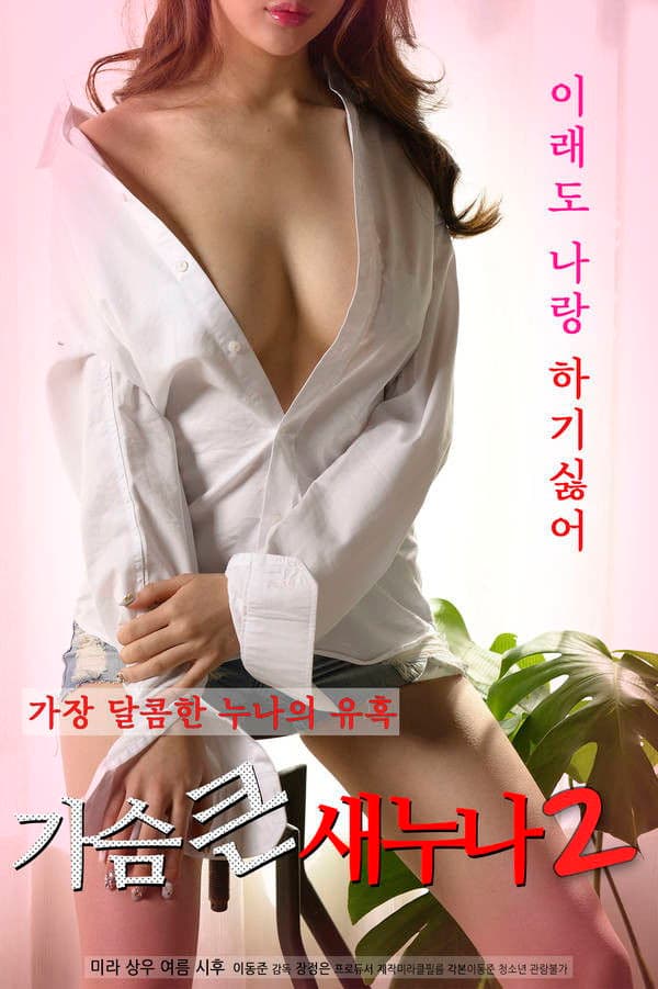 Poster backdrop for Big Breasts Sister 2