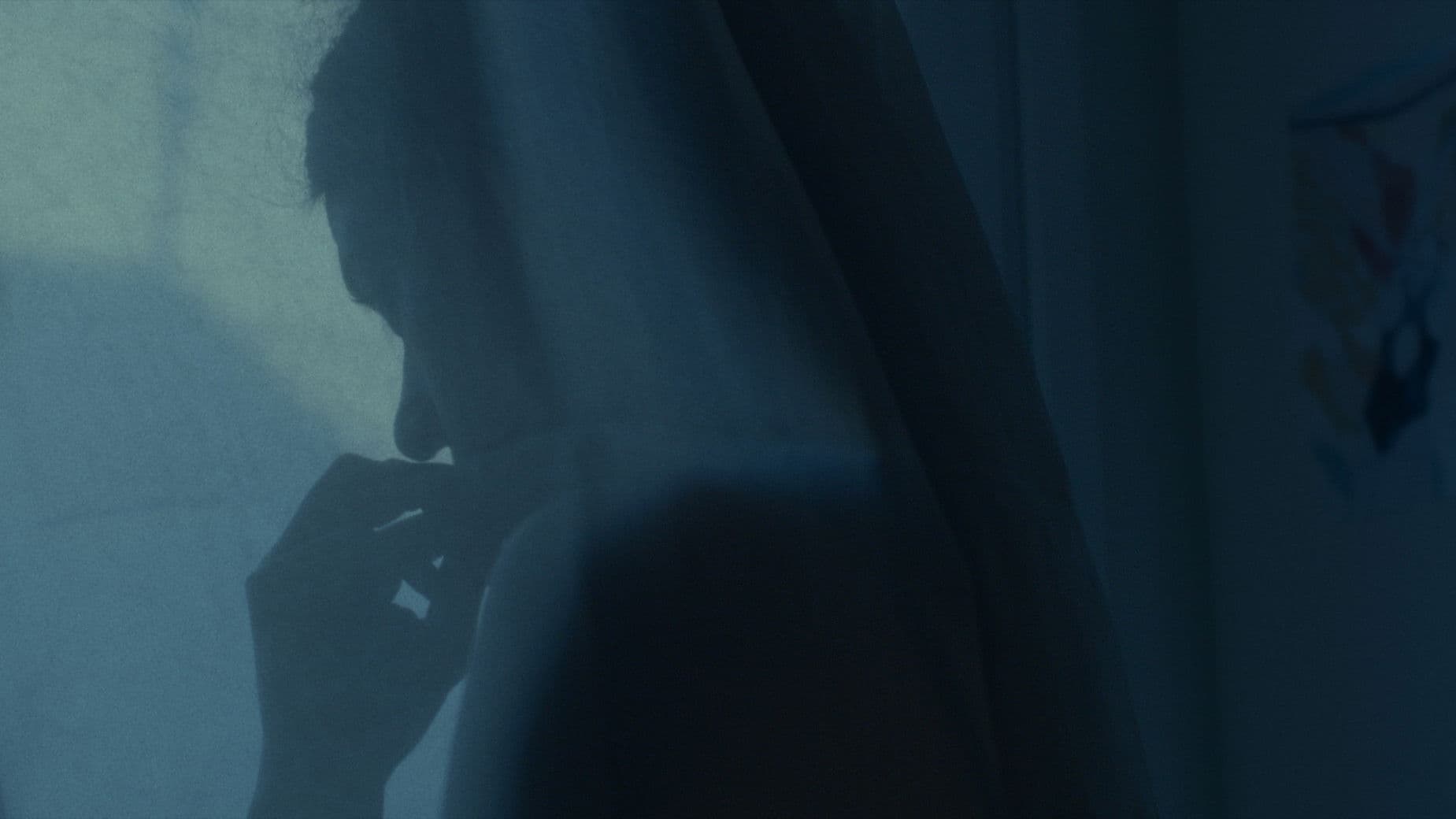 Poster backdrop for Hector Malot: The Last Day of the Year