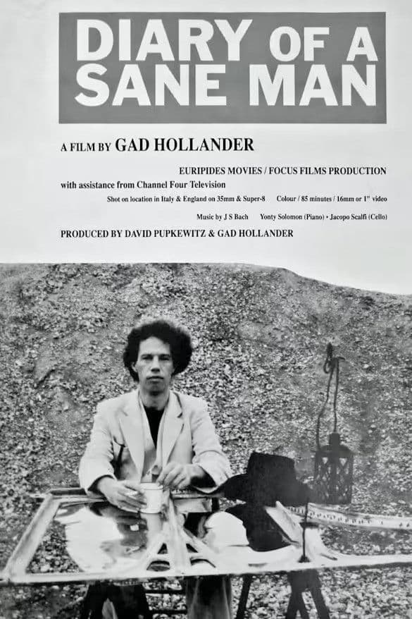 Poster backdrop for Diary of a Sane Man