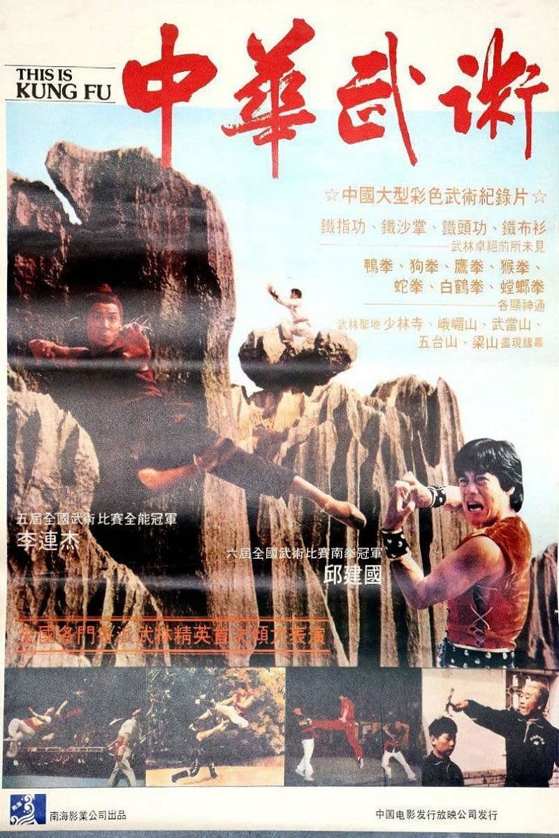 Poster backdrop for This Is Kung Fu
