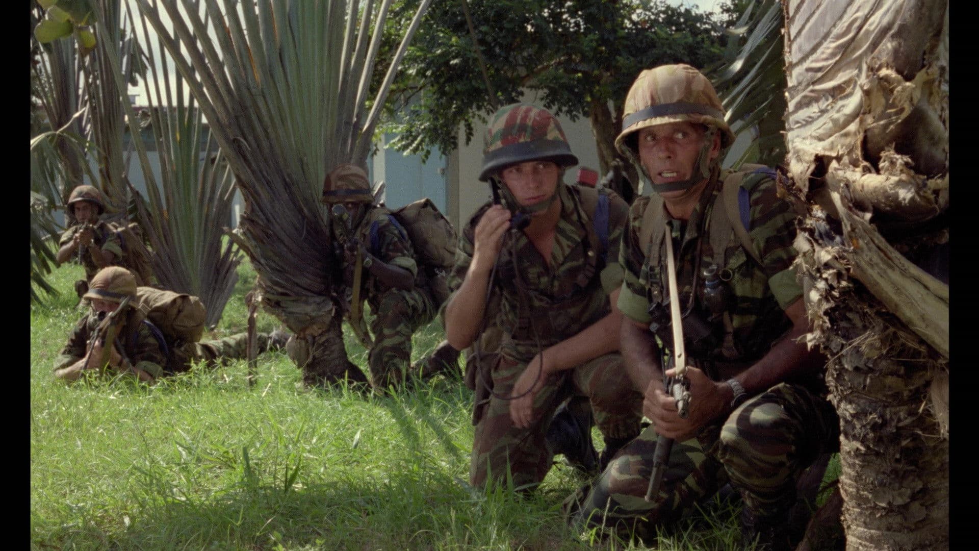 Poster backdrop for Operation Leopard